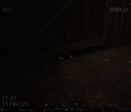 image-https://media.senscritique.com/media/000023002354/0/what_happened_to_lily.jpg
