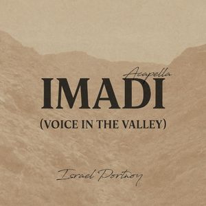 IMADI - Voice in the Valley (Single)