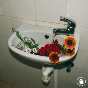 midnight bloom (Single)