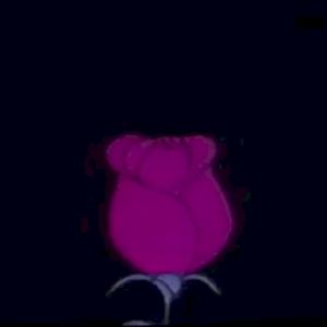 flowers (EP)
