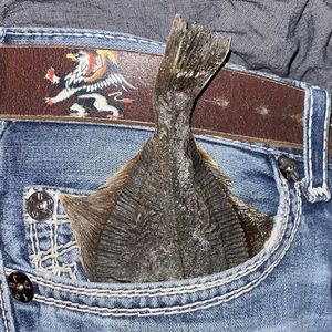 Venice (Single)