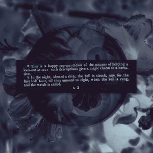 mirabilis