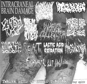 Twelve Acts Of Audio Torture 12 Way Split