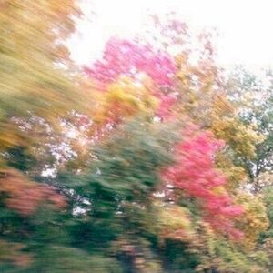 talking to flowers (Single)