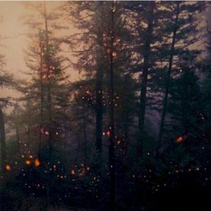 Garden of Embers (Single)