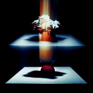 Les Roses, J'aime Pas (EP)