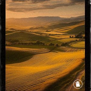 Fields (Single)