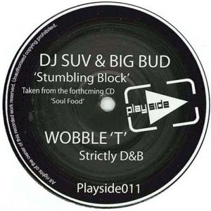 Stumbling Block / Strictly D&B (Single)