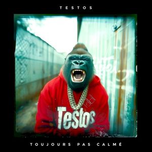 Toujours pas calmé