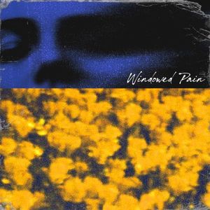 Windowed Pain (Single)