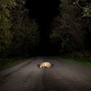 badger (EP)