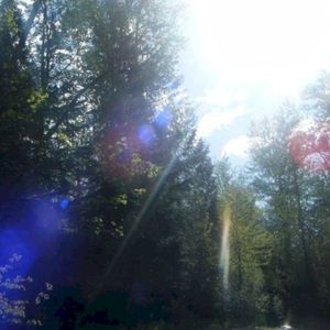 fading light (Single)