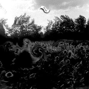 Drain (Single)