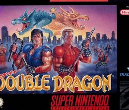 image-https://media.senscritique.com/media/000023014617/0/super_double_dragon.jpg
