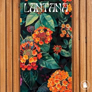 Lantana (Single)