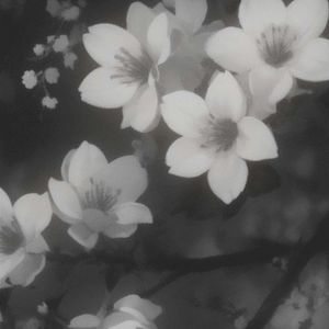 meaning (Single)