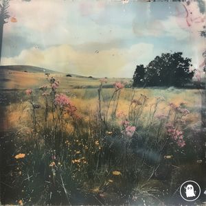 Meadow (Single)