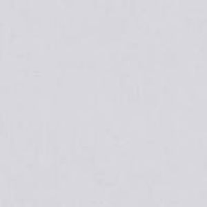 Backdoor Step (Single)