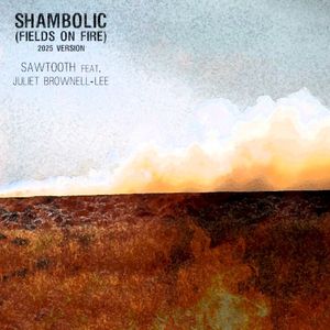 Shambolic (Fields on Fire) (2025 version) (Single)