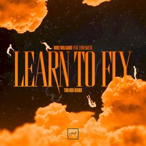 Learn to Fly (Tim Hox remix)