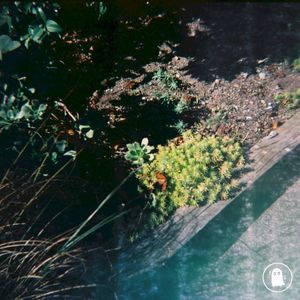 Walk in the Park (Single)