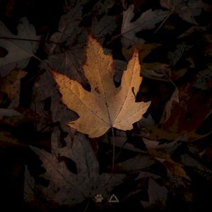 Harmonia (Single)