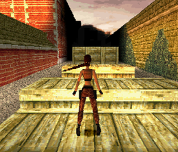 image-https://media.senscritique.com/media/000023021958/0/tomb_raider_collection_1.png