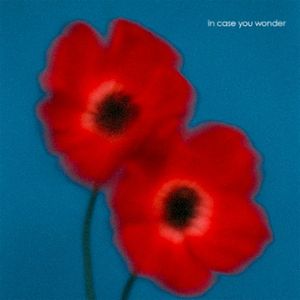 In Case You Wonder (Single)