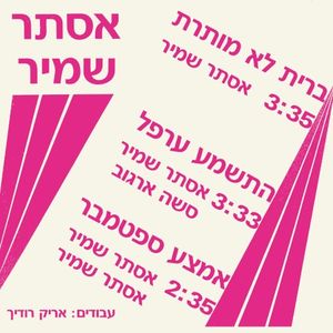 ברית לא מותרת (Single)