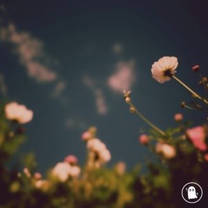 all the flowers (Single)