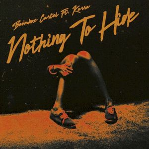 Nothing to Hide (Single)