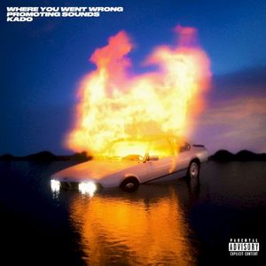Where You Went Wrong (Single)