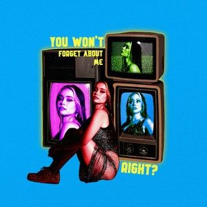 You Won't Forget About Me, Right? (Single)