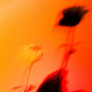 LEAVES (Single)