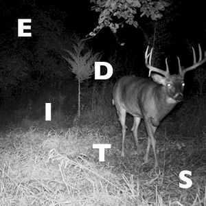 The Artificial Animal Edits (EP)