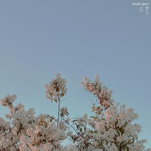 break apart (Single)