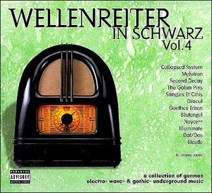 Wellenreiter in Schwarz, Volume 4