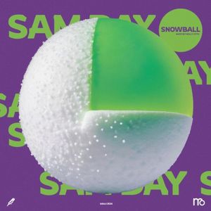 These Things (Sam Day remix)