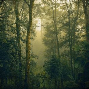 The Grove (EP)
