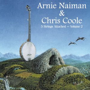 5 Strings Attached ~ Volume 2