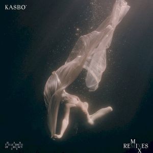 The Learning Of Urgency Remixes