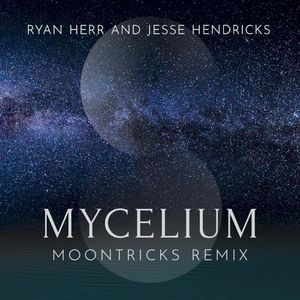 Mycelium (Moontricks remix)