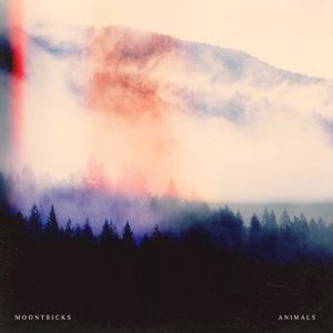 Animals (Single)