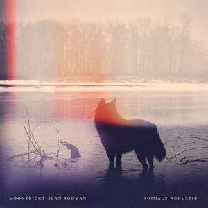 Animals (acoustic) (Single)