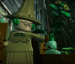 image-https://media.senscritique.com/media/000023034073/0/lego_harry_potter_collection.webp