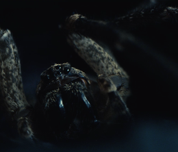 image-https://media.senscritique.com/media/000023035191/0/atom_void.png
