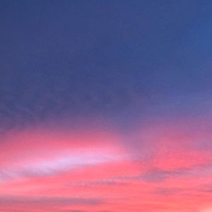 M I E N T E S (Single)