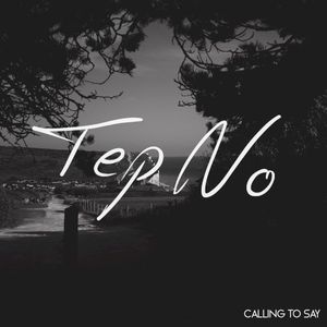 Calling To Say (Single)