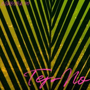 In Reverse (Single)