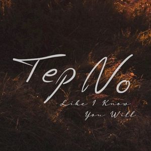 Like I Know You Will (Single)